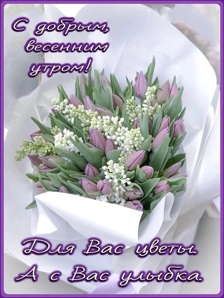   ,    . - 9  2024  22:07 - 3