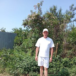 ����, ���������, 49 ���