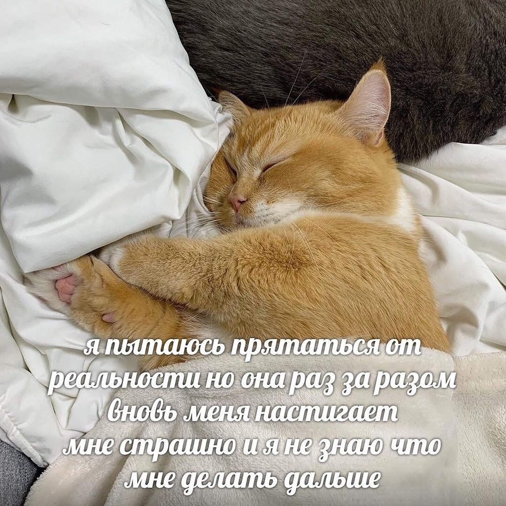    - 9  2024  16:18