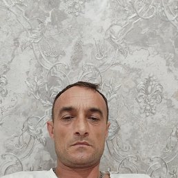 ����, 46 ���, �����