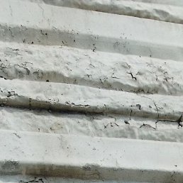 Pasha, �����������, 29 ���