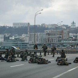 ��������, �����������, 55 ���