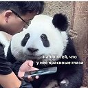 ���� �������, ������, 53 ���� - ��������� 14 ������� 2026 � ������ ���� ����������