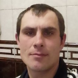 �����, �����������, 41 ���