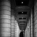 ���� �����, ������������, 44 ���� - ��������� 12 ������� 2025 � ������ ���� ����������