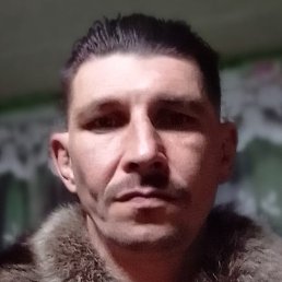 ����������, �����������, 46 ���