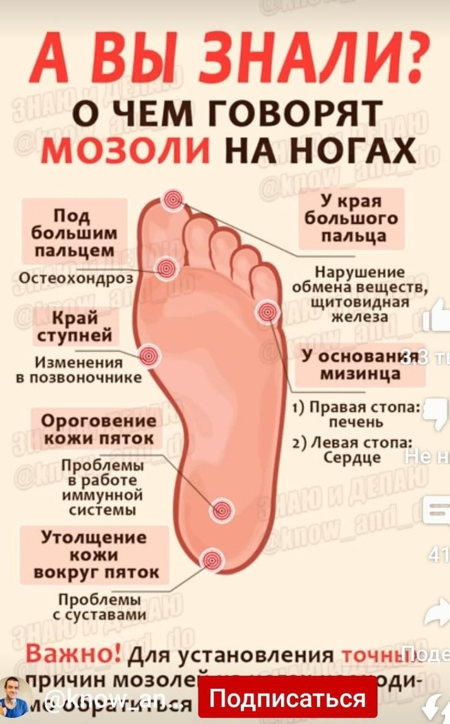 �� ����� ������! - 2 ���� 2026 � 21:10