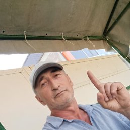 , 53, 