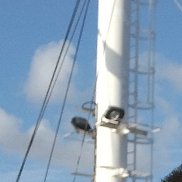 ����, 41 ���, �������