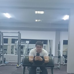 , 26, 