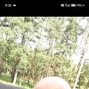 ���� ����, ������, 49 ��� - ��������� 6 ���� 2025 � ������ ���� ����������