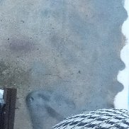 �������� ��������, 62 ����, ������