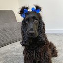 ���� �������� ����, ����� - ��������� 22 ������� 2026 � ������ ������ ��������
