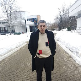 �������, 61 ���, �����