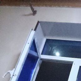 ������, ������, 39 ���