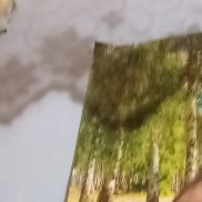 ������, 39 ���, ������