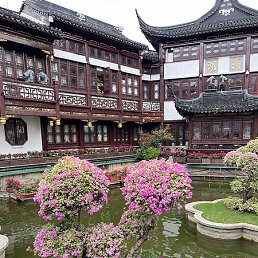 ���������, �����, 51 ���