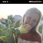 , 45 , 
