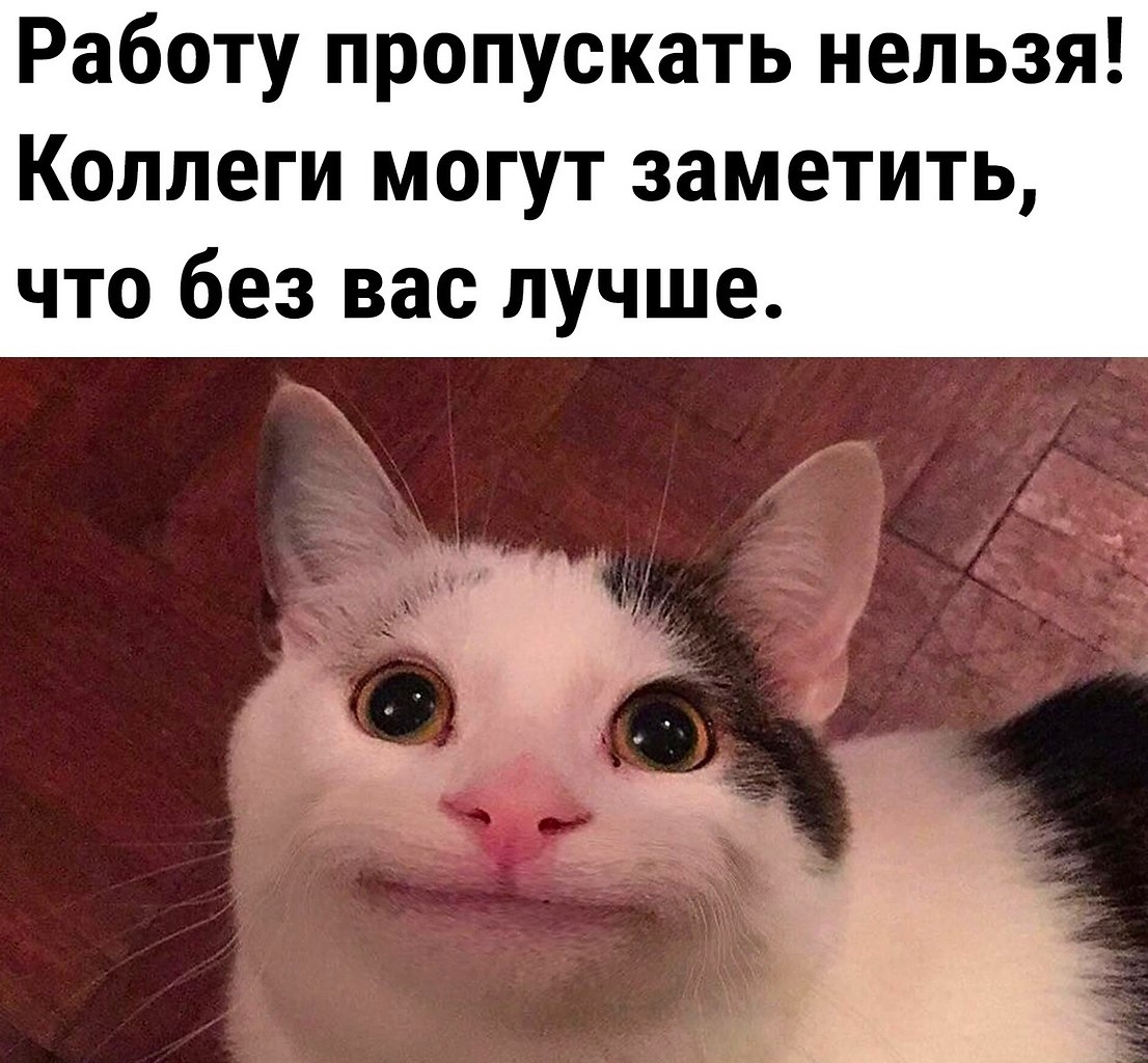   - 5  2025  11:55