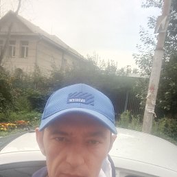 , 42, 