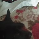 ���� �����, ������, 34 ���� - ��������� 28 ������� 2023 � ������ ���� ����������