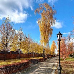 �����, �������, 49 ���