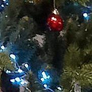 �����, 50 ���, �����