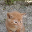 ���� �������, ����������� - ��������� 12 ������ 2025 � ������ ������ ��������