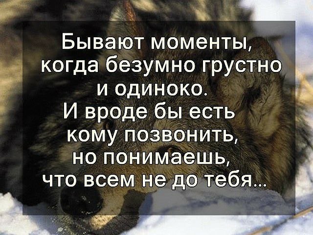   ,    . - 22  2025  20:46 - 3