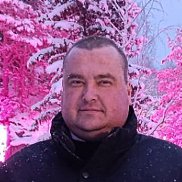 �����, 41 ���, �����