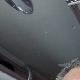 �������, ������, 43 ����