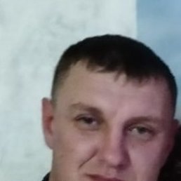 , 41, 