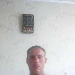 , 42, 