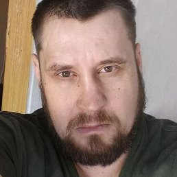 ���������, ����������, 41 ���