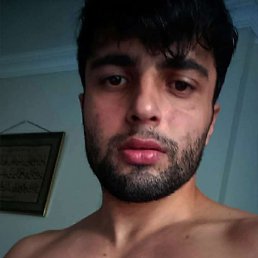 Ant, , 30 