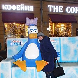 �����, �����-���������, 56 ���