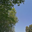 ���� �, �������� - ��������� 9 ���� 2025 � ������ ������ ��������