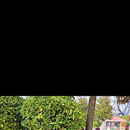 �������, ������, 60 ���