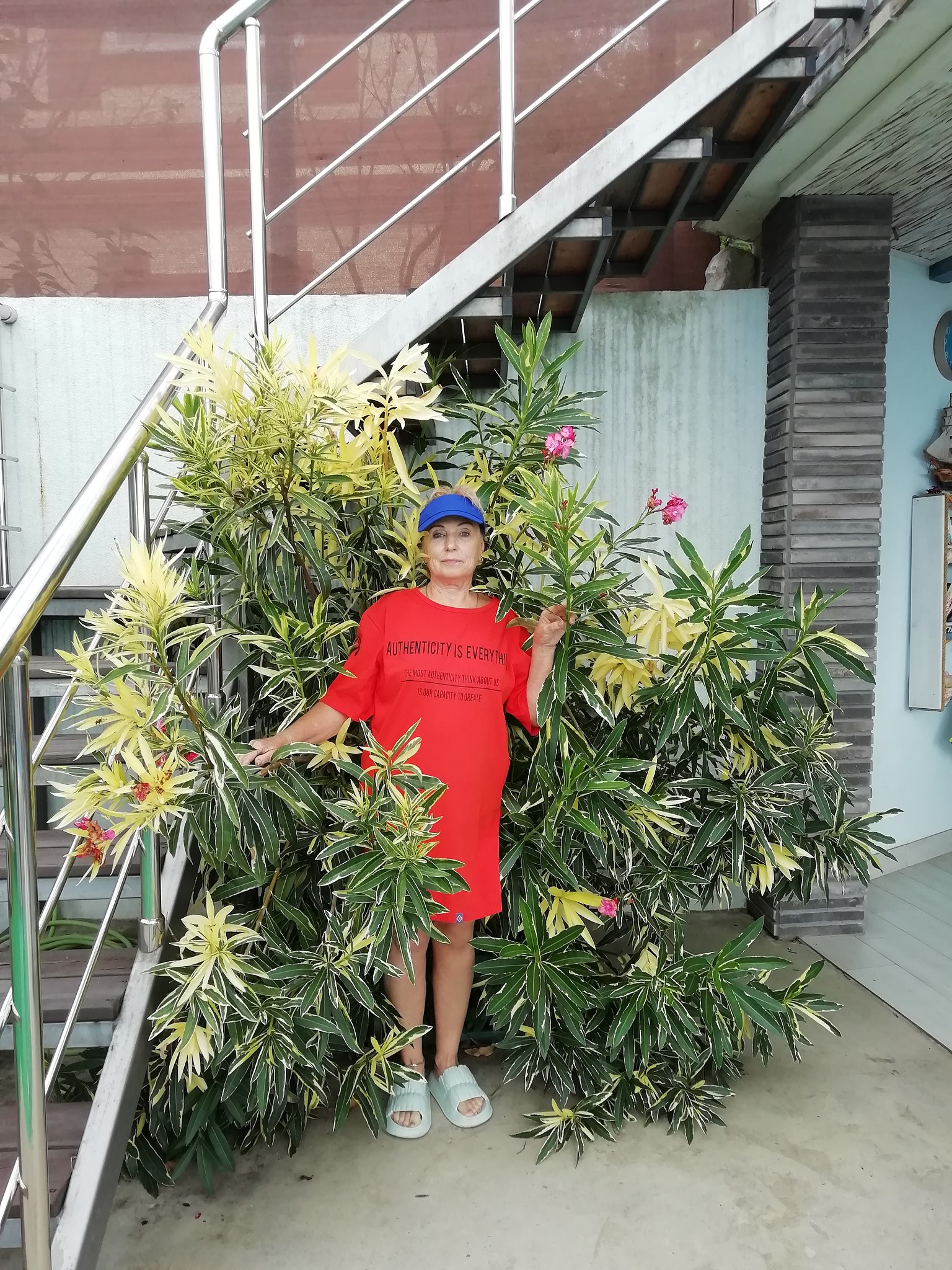  - 30  2025  17:23 - 6