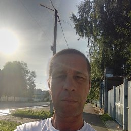 , 44, 