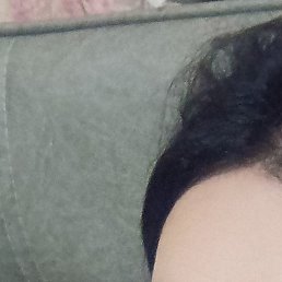 �����, �����������, 41 ���