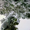 ���� �����, ����, 67 ��� - ��������� 10 ������� 2025 � ������ �������