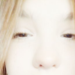 ������, ���������, 22 ����