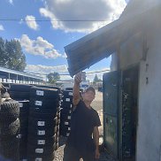 ������ ��������, 37 ���, ������