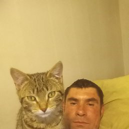 , 35, 