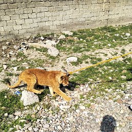 ���� Diego, �����, 30 ��� - ��������� 14 ������� 2024