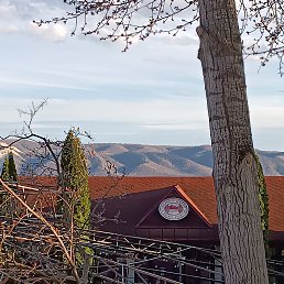 ���� �����, ������, 53 ���� - ��������� 16 ������ 2024