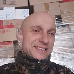 , 53,  