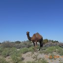 ���� ������, ������� - ��������� 29 ������ 2026 � ������ ���� ����������