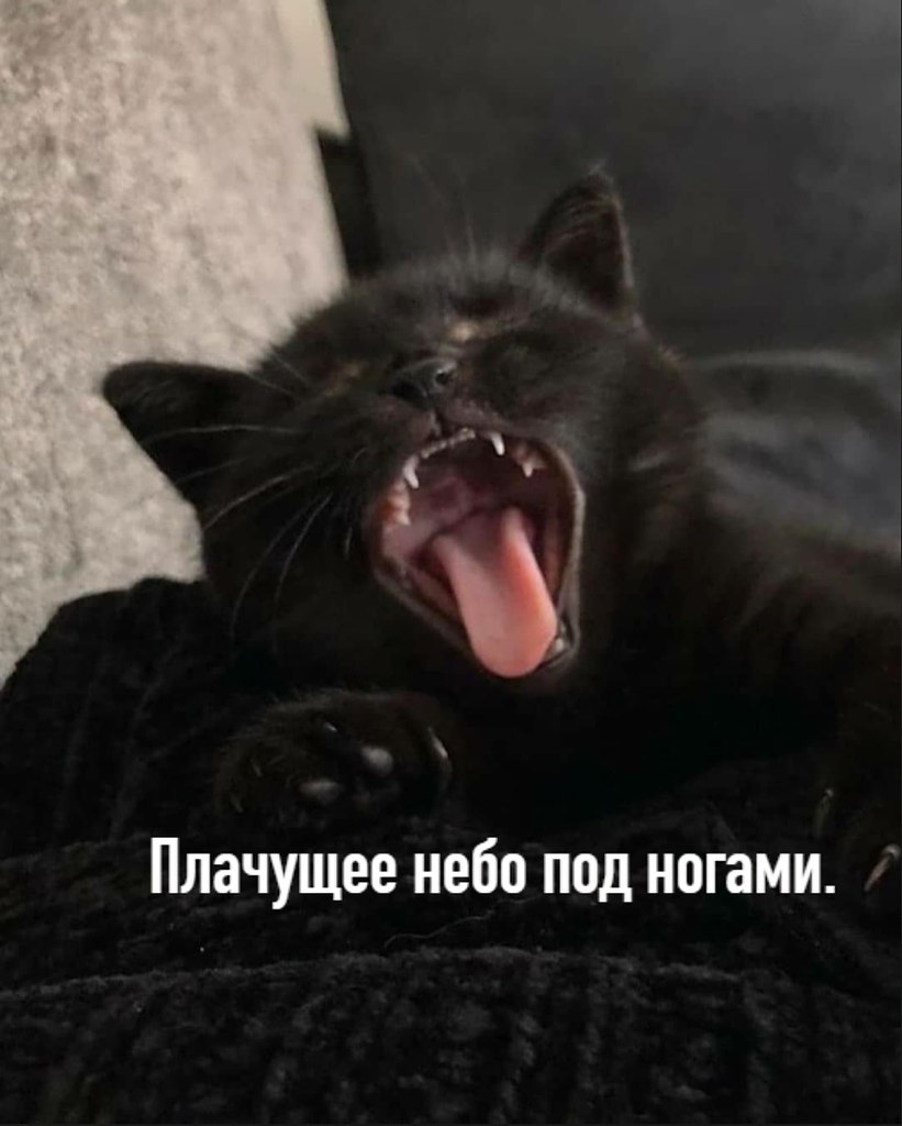       - 1  2025  15:48 - 2